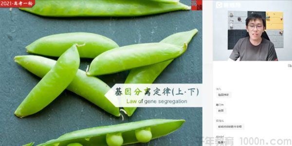 张鹏猿辅导高三备考2021生物秋季班