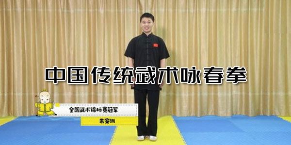 凯叔中国传统武术咏春拳儿童启蒙课