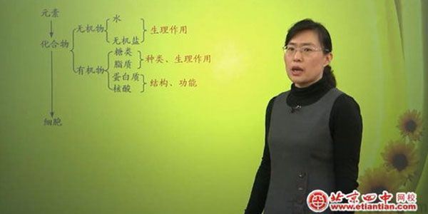 毕诗秀北京四中网校高三生物
