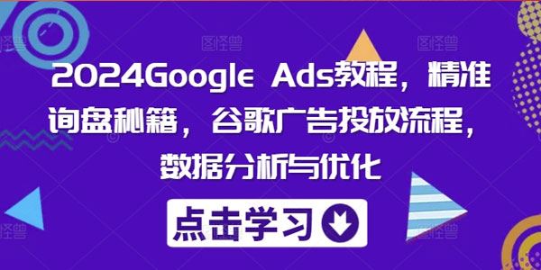 2024Google Ads教程：谷歌广告投放数据分析与优化
