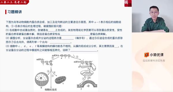 张鹏 2023届高考生物二轮复习寒假班