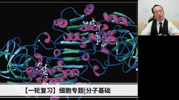 徐京 2024届高考生物2023年暑假班