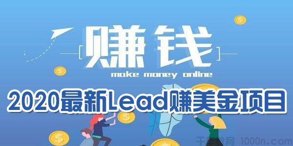 最新lead国外网赚项目2.0,在家日赚500刀美金