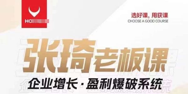 张琦 老板企业增长组合课：盈利爆破系统
