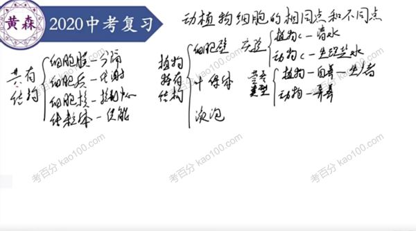 黄森生物中考复习[课件]
