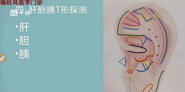 张福旺精讲耳穴诊断班