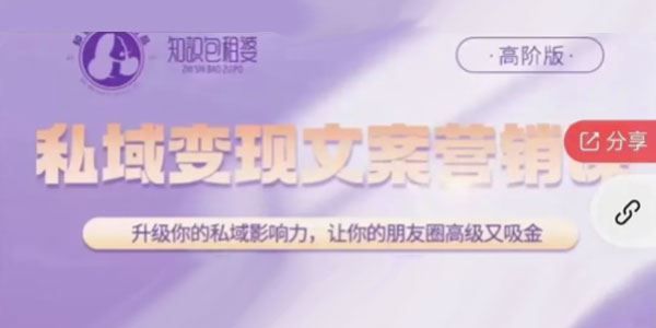 知识包租婆 私域变现文案营销课高阶版