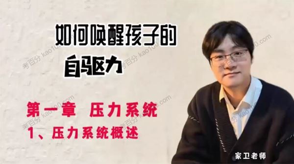 家卫老师：如何唤醒孩子的自驱力 百度网盘下载