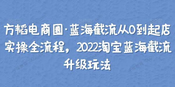 方韬电商圈 蓝海截流起店实操全流程淘宝升级玩法