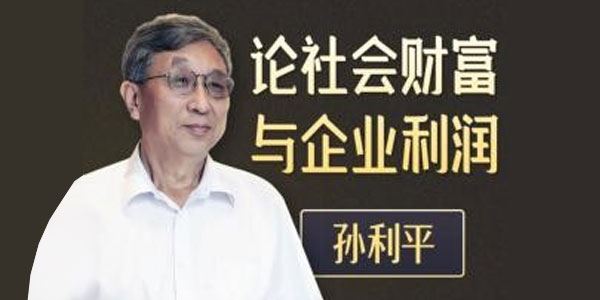 孙利平《论社会财富与企业利润的来源》