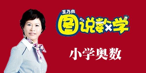 王乃向图说数学小学奥数课教学视频全集