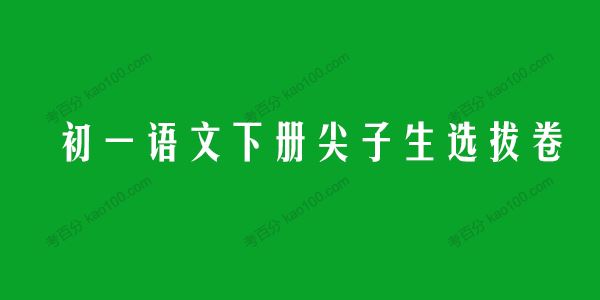 2021~2022学年初一语文下册尖子生选拔卷（部编版）[课件]