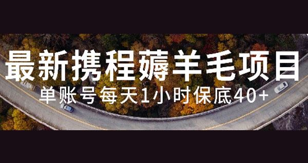 携程薅羊毛副业 单账号每天1小时保底收益40+,可批量