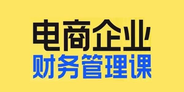 电商企业财务管理线上课：电商企业规划财税 百度网盘下载