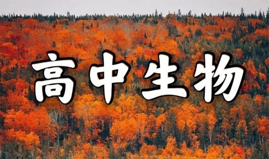 高中生物95个常识性基础知识点整理汇总 百度网盘下载