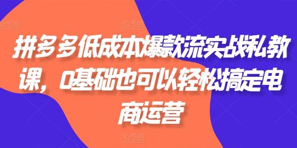 拼多多低成本爆款流实战私教课：0基础电商运营