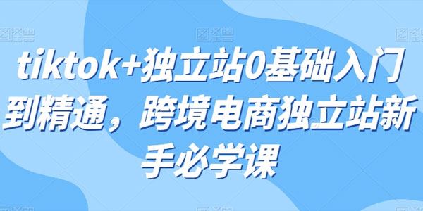 跨境电商独立站Tiktok推广新手必学课