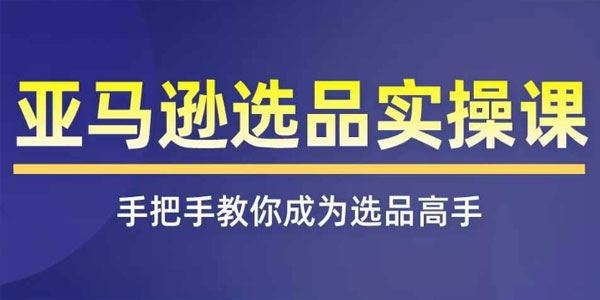 亚马逊选品实操课：快速掌握选品的技巧及渠道