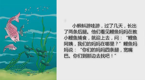 小学语文同步课文朗读(部编版)
