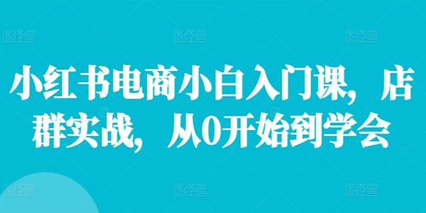 小红书电商小白入门课：新手店群实战