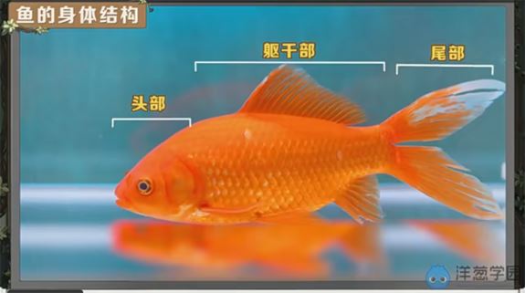 初二生物2021年人教版同步课程