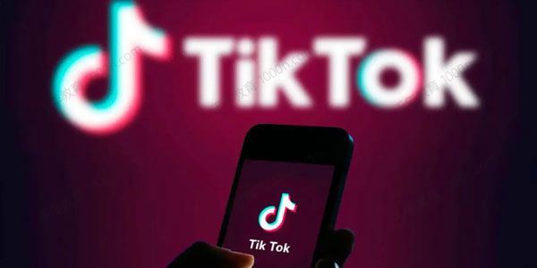 TikTok从0到1基础班