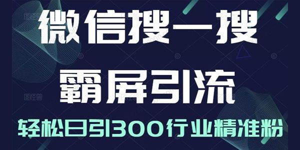 微信搜一搜霸屏引流课打造被动精准引流系统