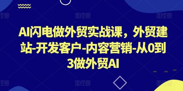 AI闪电做外贸实战课 从0到3做外贸AI