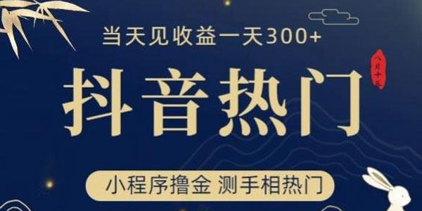 抖音最新测手相小程序撸金项目：上热门当天见收益